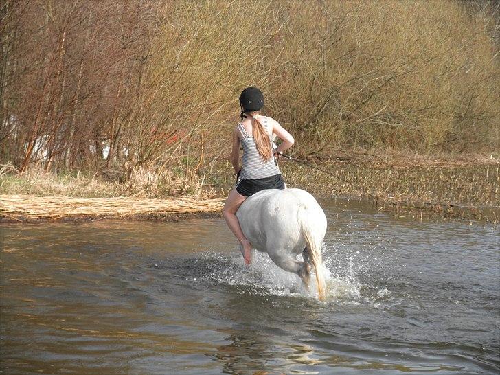 Ude og bade med Whisser og Avance :D billede 47