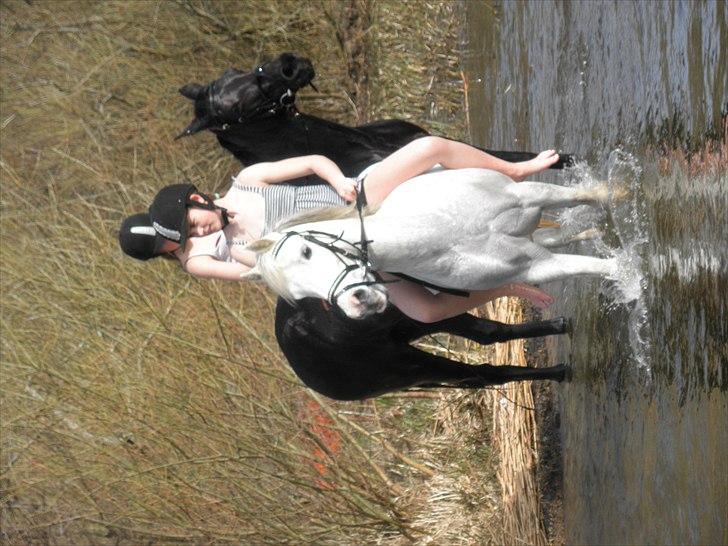 Ude og bade med Whisser og Avance :D billede 48