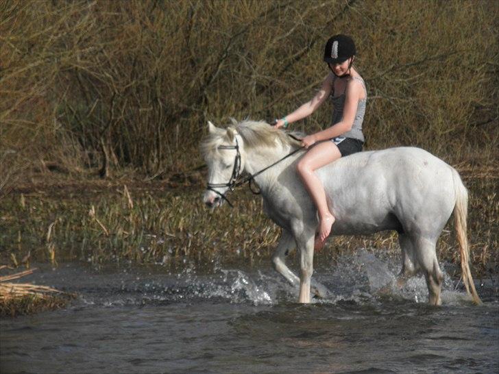 Ude og bade med Whisser og Avance :D billede 49