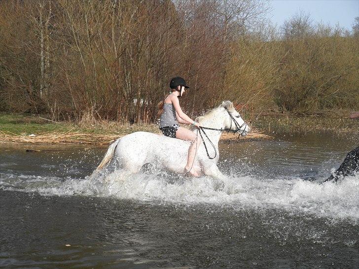 Ude og bade med Whisser og Avance :D billede 50