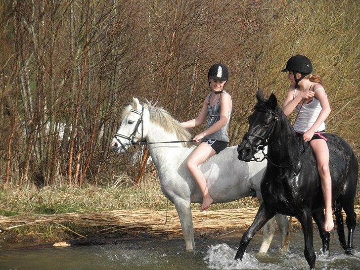 Ude og bade med Whisser og Avance :D billede 52