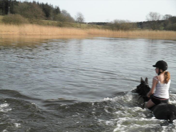 Ude og bade med Whisser og Avance :D billede 53