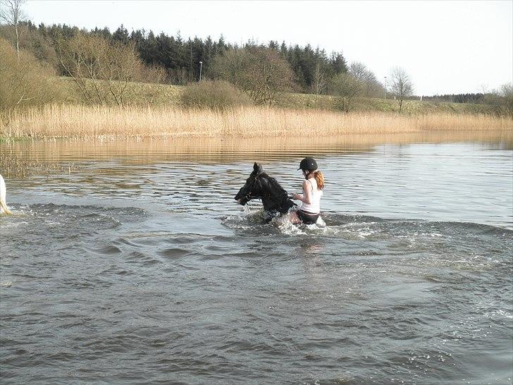 Ude og bade med Whisser og Avance :D billede 54