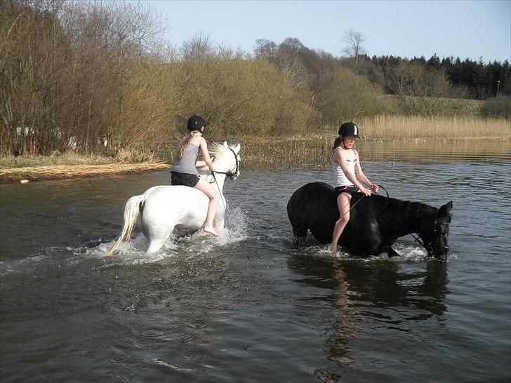 Ude og bade med Whisser og Avance :D billede 55