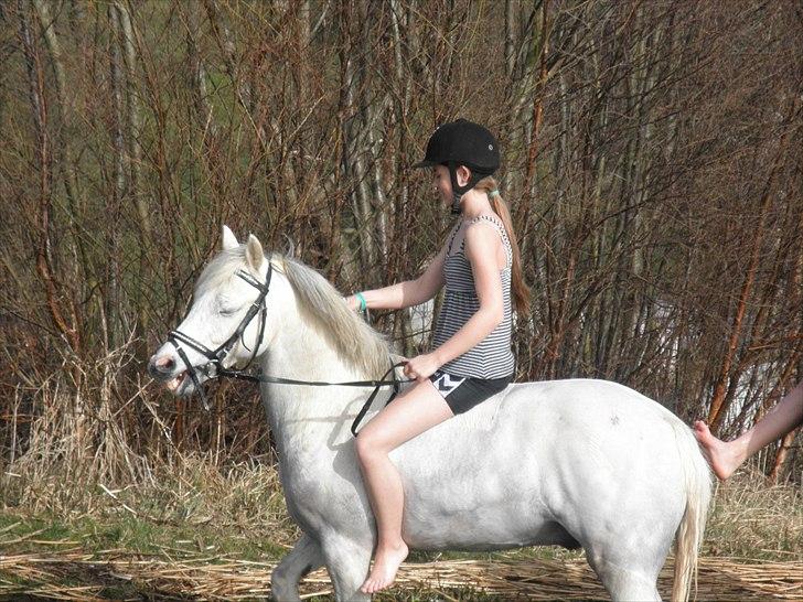 Ude og bade med Whisser og Avance :D billede 56