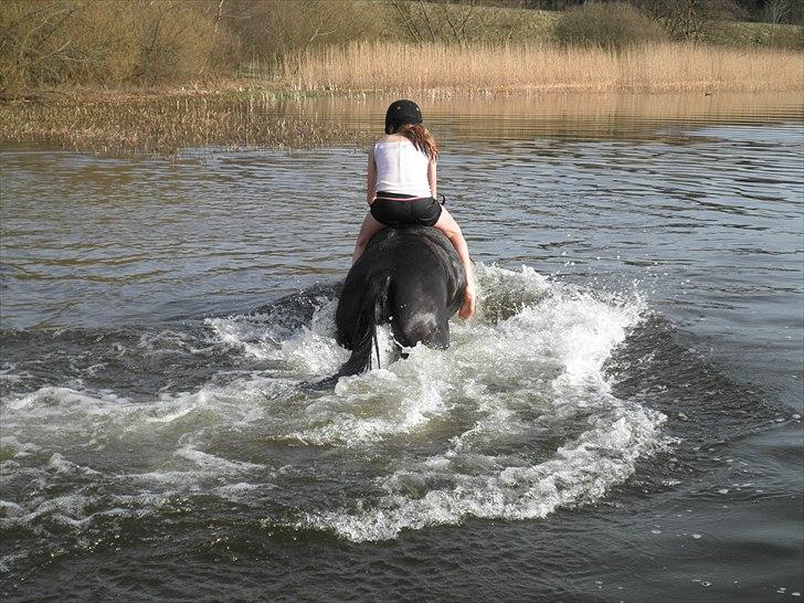 Ude og bade med Whisser og Avance :D billede 57