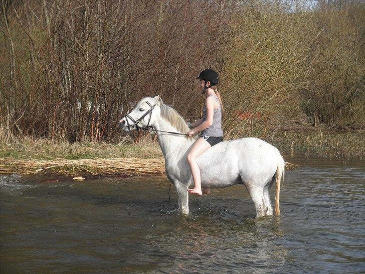 Ude og bade med Whisser og Avance :D billede 58