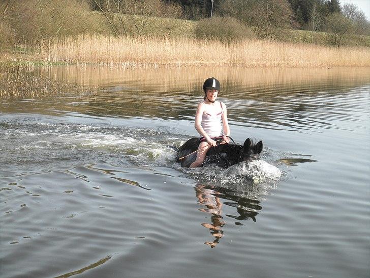 Ude og bade med Whisser og Avance :D billede 59