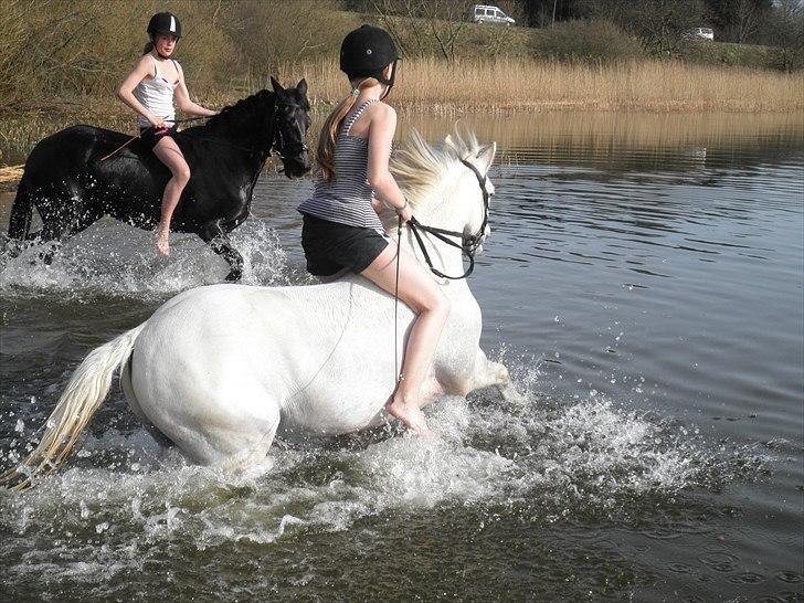Ude og bade med Whisser og Avance :D billede 60