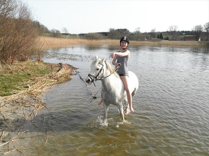 Ude og bade med Whisser og Avance :D billede 61