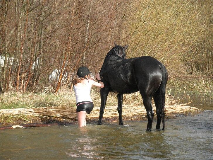 Ude og bade med Whisser og Avance :D billede 62
