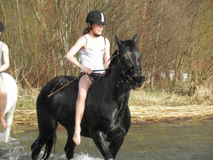 Ude og bade med Whisser og Avance :D billede 63