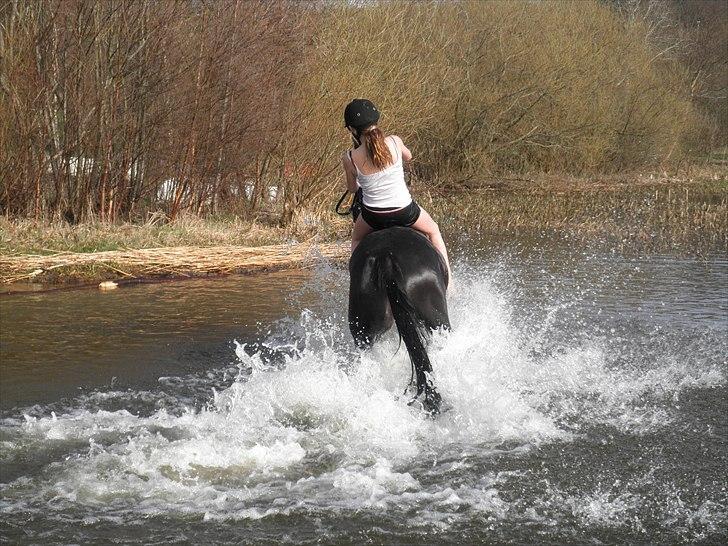 Ude og bade med Whisser og Avance :D billede 64