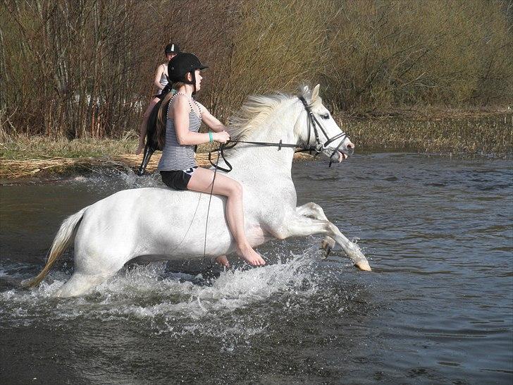 Ude og bade med Whisser og Avance :D billede 65