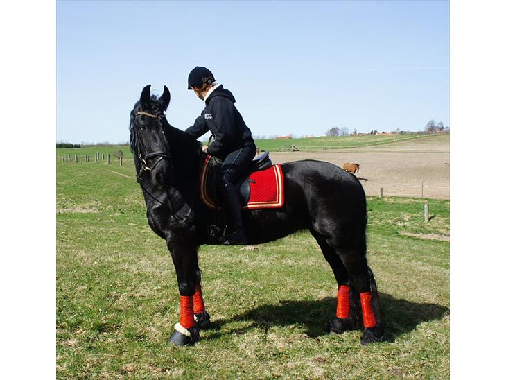 {{currentPhoto.altText}} billede {{currentPhoto.number}}