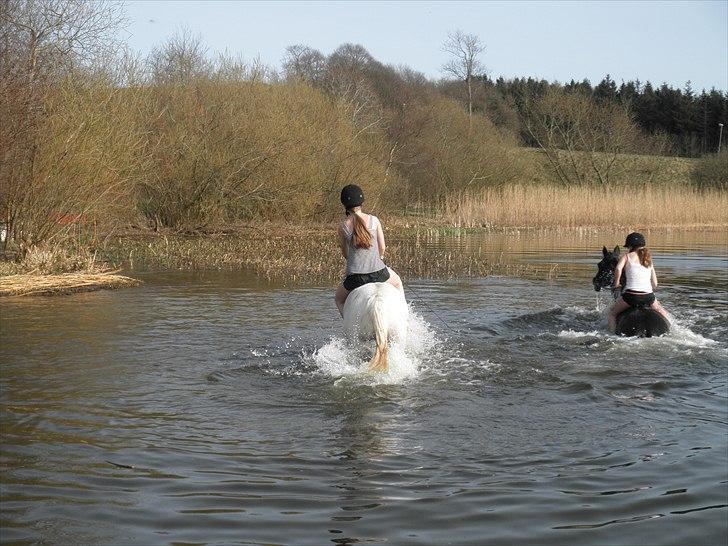 Ude og bade med Whisser og Avance :D billede 66