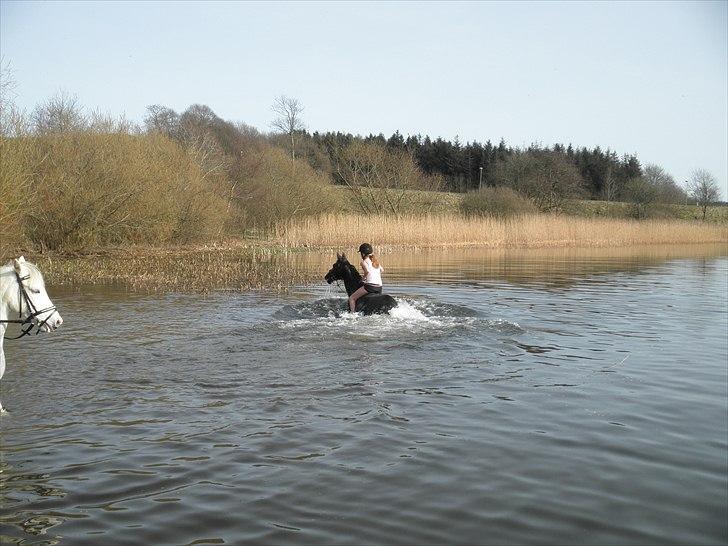 Ude og bade med Whisser og Avance :D billede 67