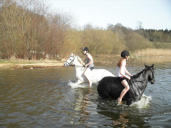 Ude og bade med Whisser og Avance :D billede 68