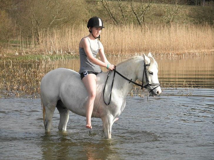 Ude og bade med Whisser og Avance :D billede 69