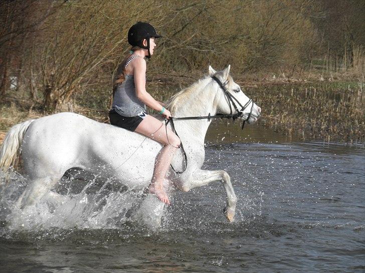 Ude og bade med Whisser og Avance :D billede 70