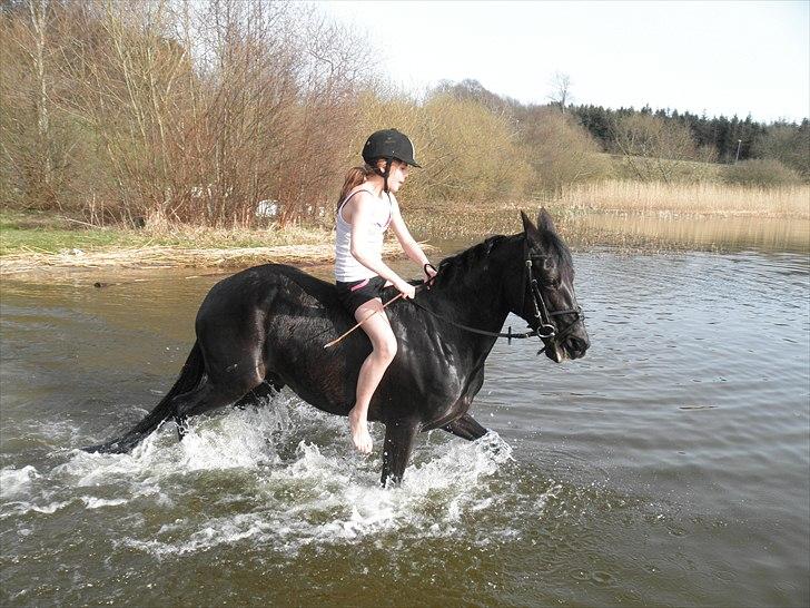 Ude og bade med Whisser og Avance :D billede 71