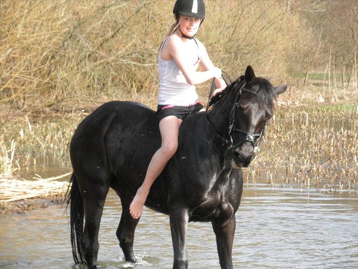 Ude og bade med Whisser og Avance :D billede 73