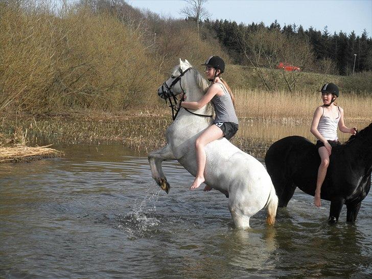 Ude og bade med Whisser og Avance :D billede 75