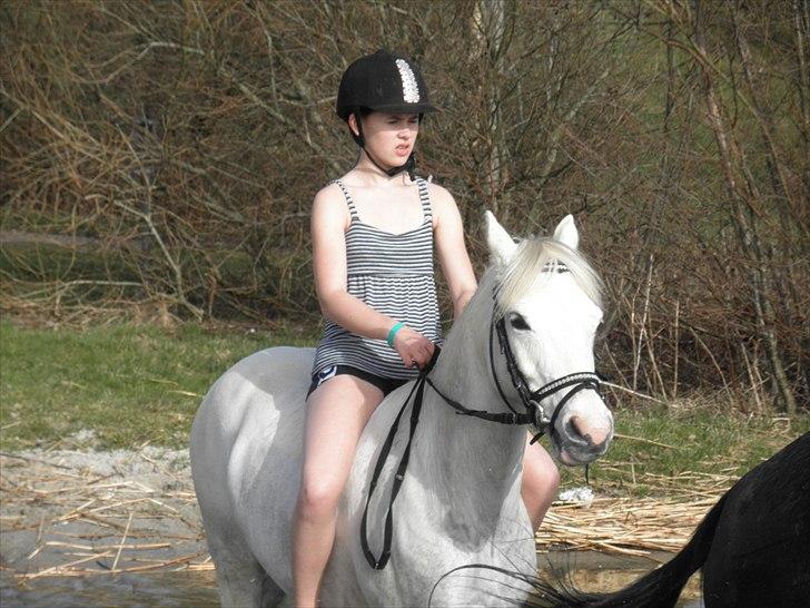 Ude og bade med Whisser og Avance :D billede 76