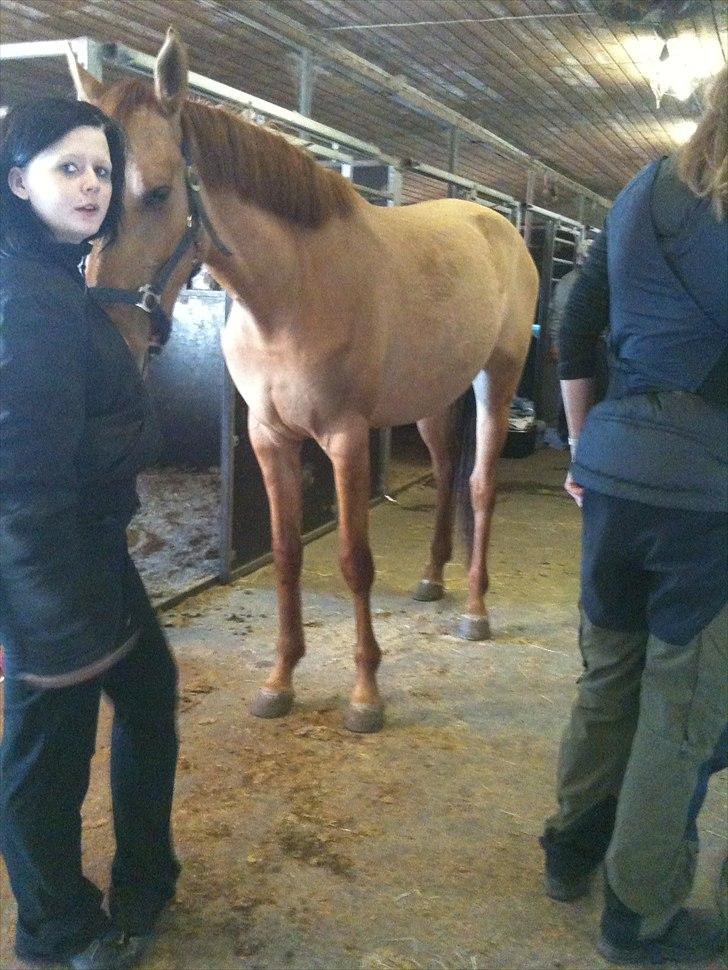 Papaya Til Røngten (: billede 12