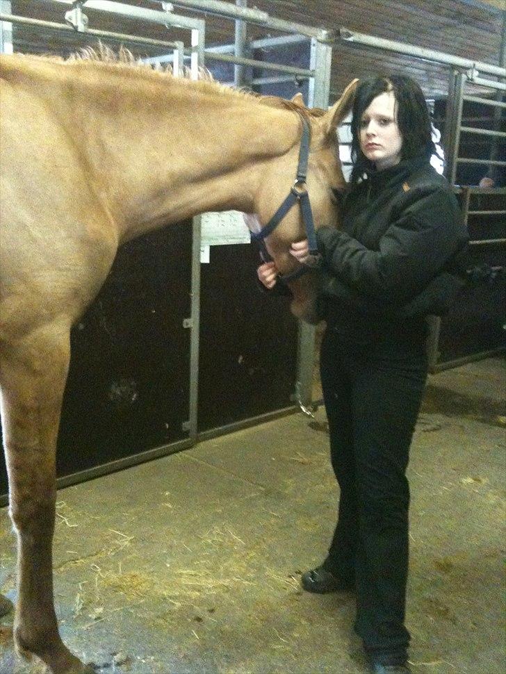 Papaya Til Røngten (: billede 18