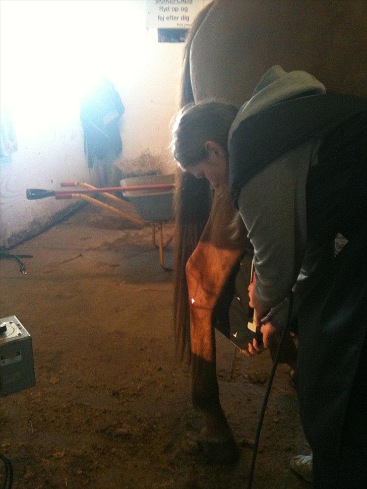 Papaya Til Røngten (: billede 19