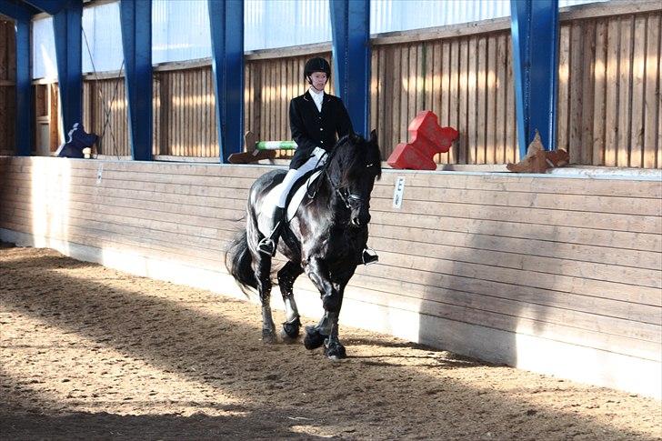 Stævne Broholm marts 2011 billede 11