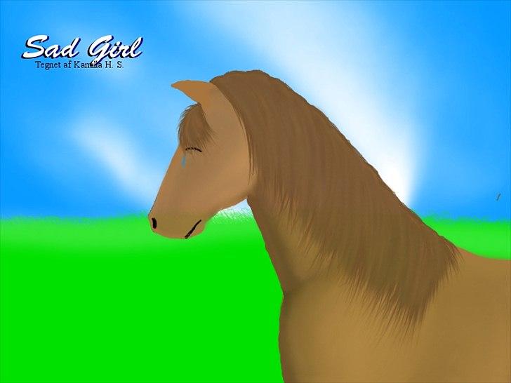 Mine hestetegninger på computeren :) billede 35