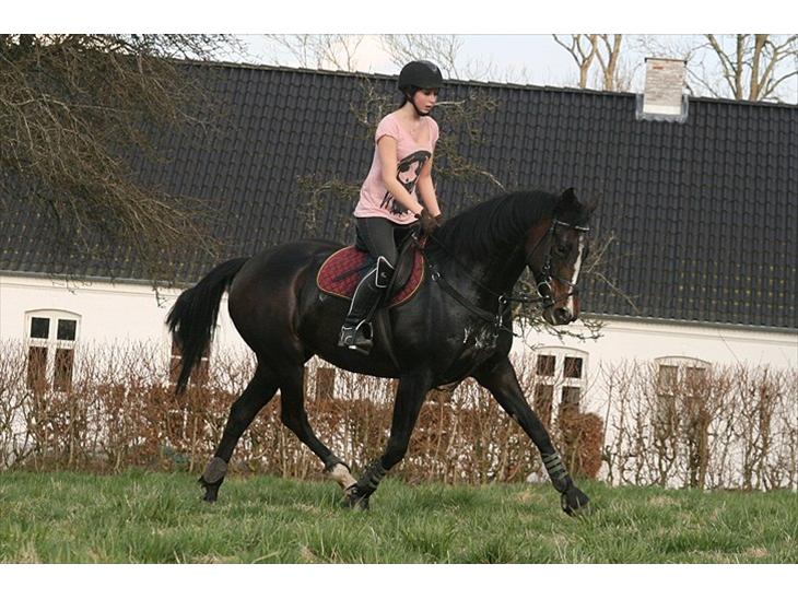 {{currentPhoto.altText}} billede {{currentPhoto.number}}