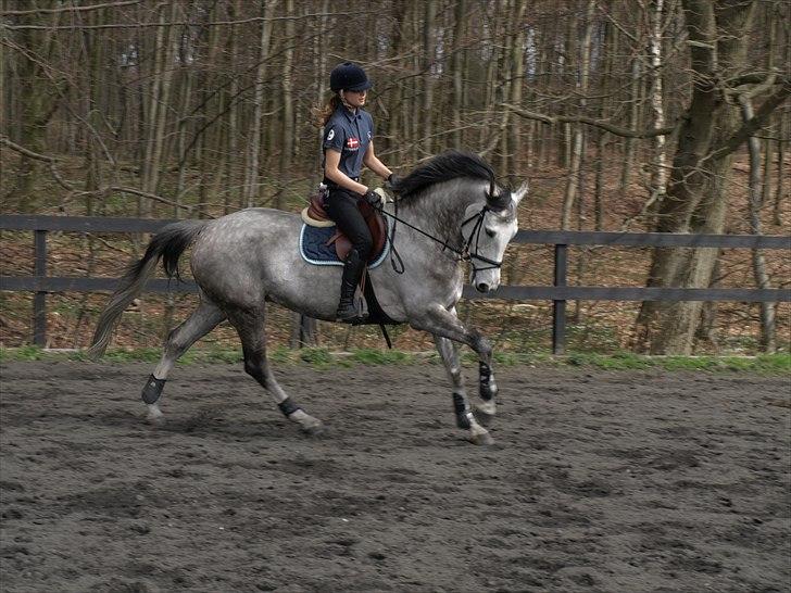 Kathrine og Grå  billede 3