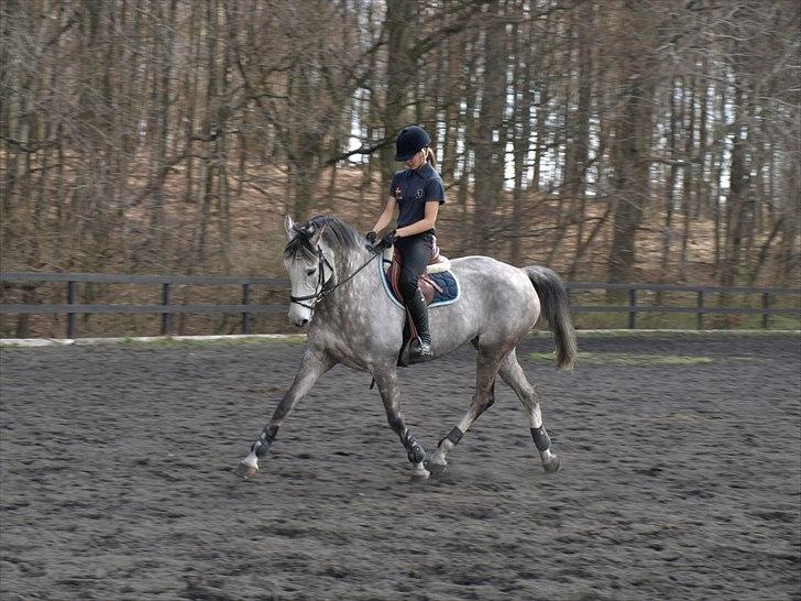 Kathrine og Grå  billede 4