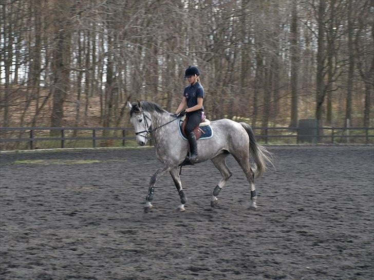 Kathrine og Grå  billede 6