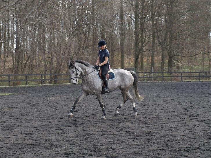 Kathrine og Grå  billede 7