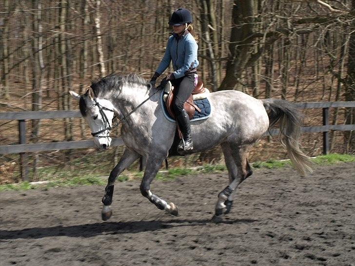 Kathrine og Grå  billede 8