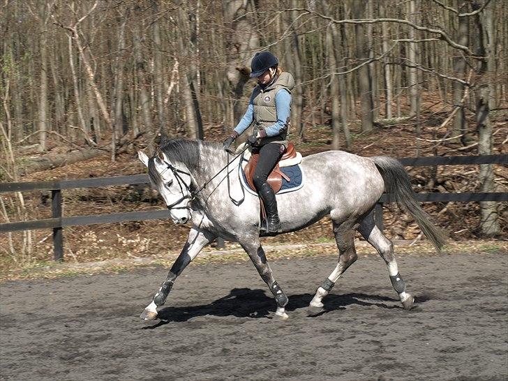 Kathrine og Grå  billede 9