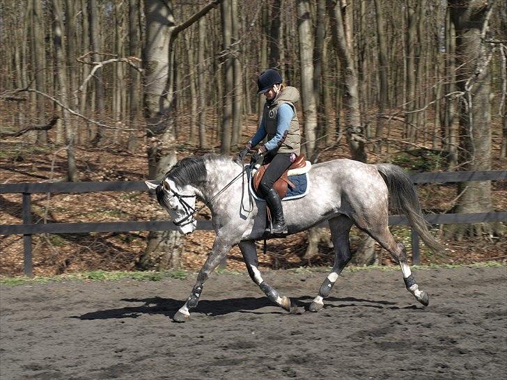 Kathrine og Grå  billede 11