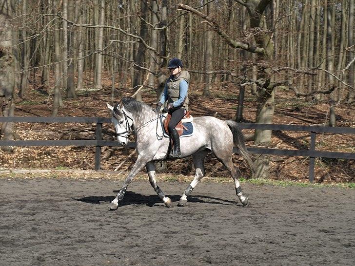 Kathrine og Grå  billede 12