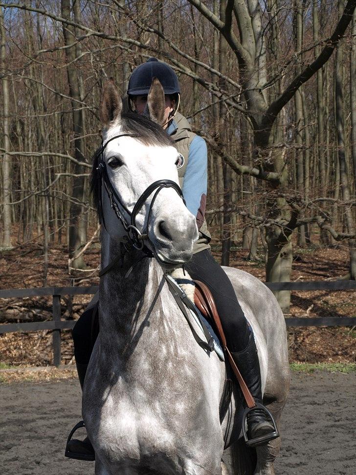 Kathrine og Grå  billede 13