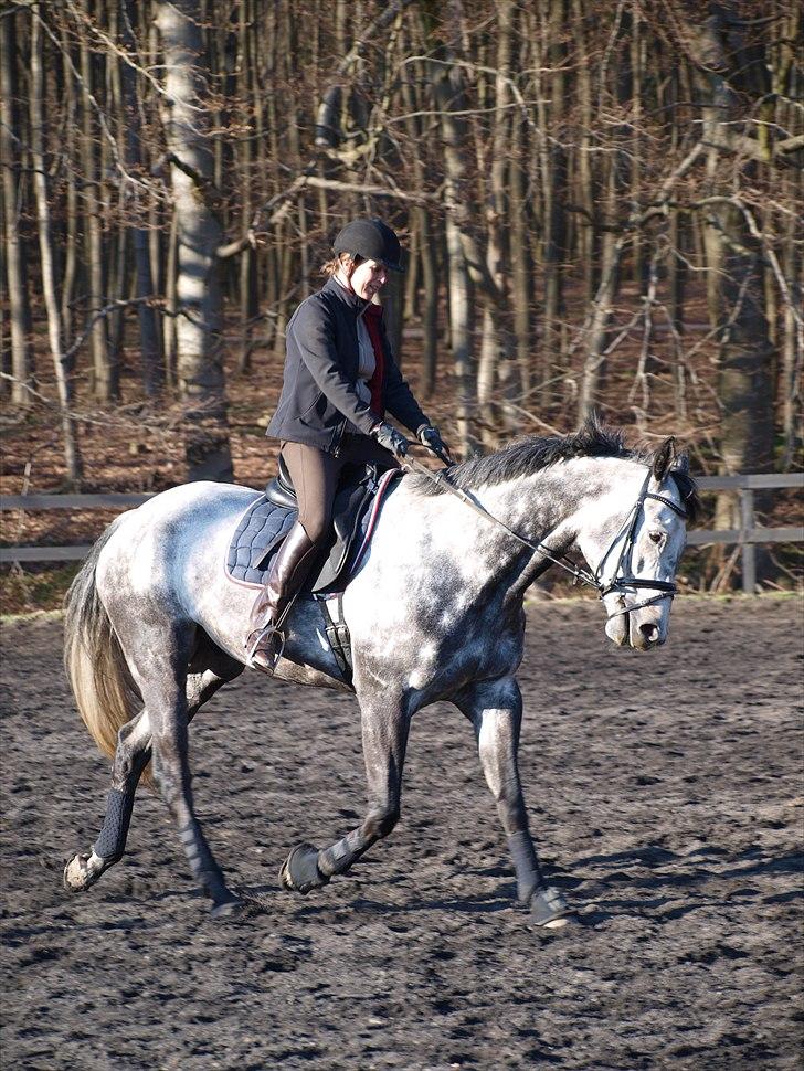 Kathrine og Grå  billede 14