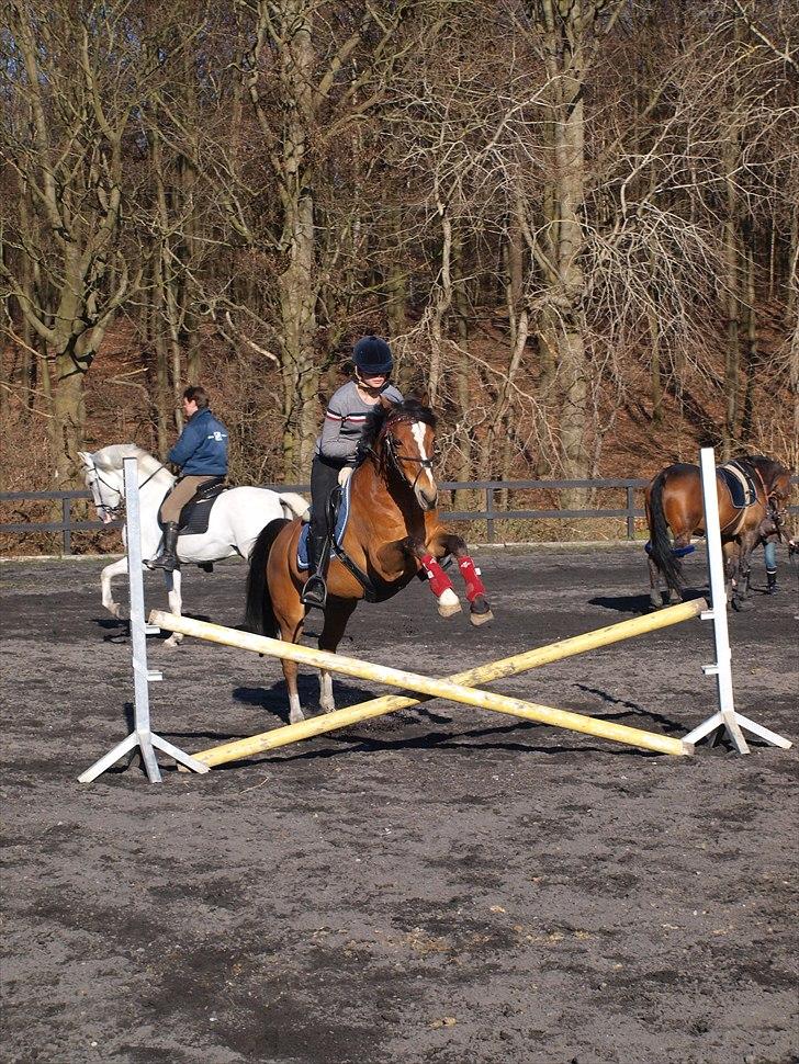 Kathrine og Grå  billede 15