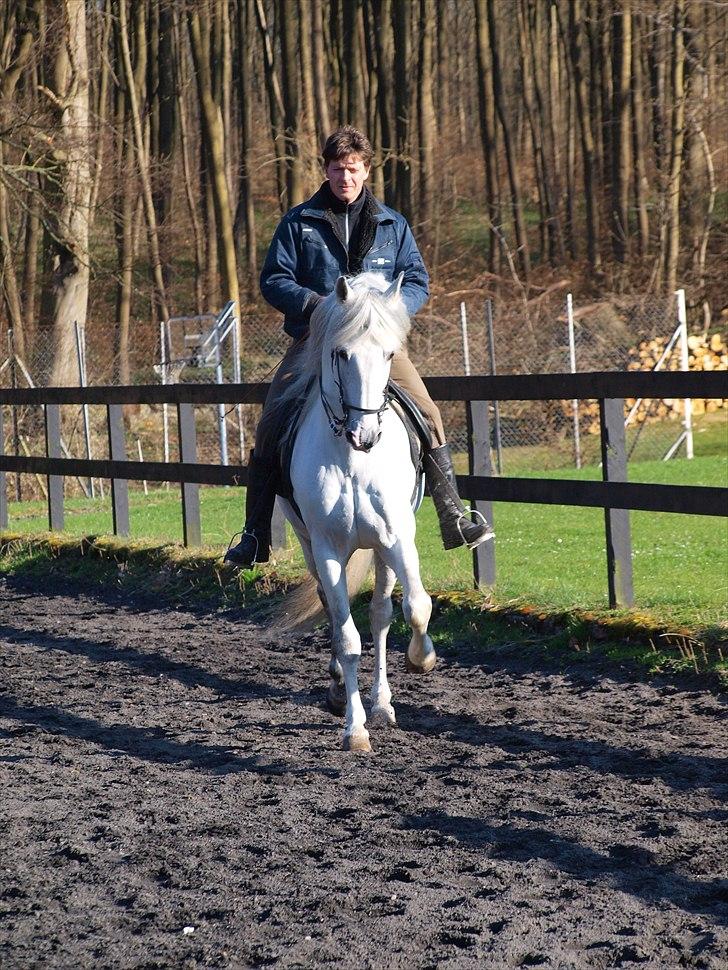 Kathrine og Grå  billede 17