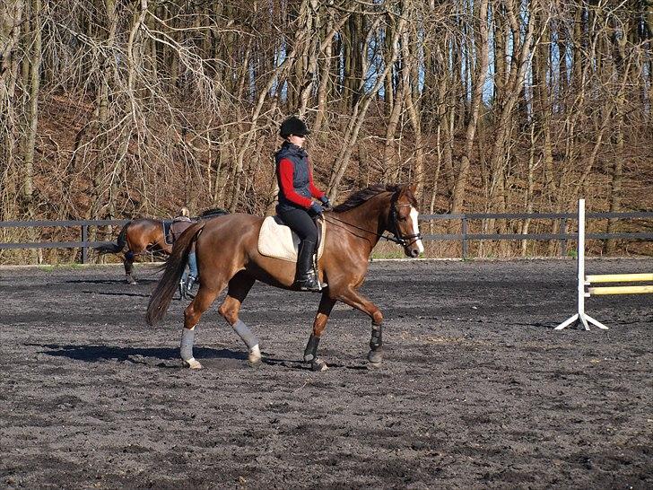 Kathrine og Grå  billede 18