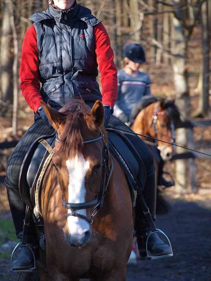 Kathrine og Grå  billede 19