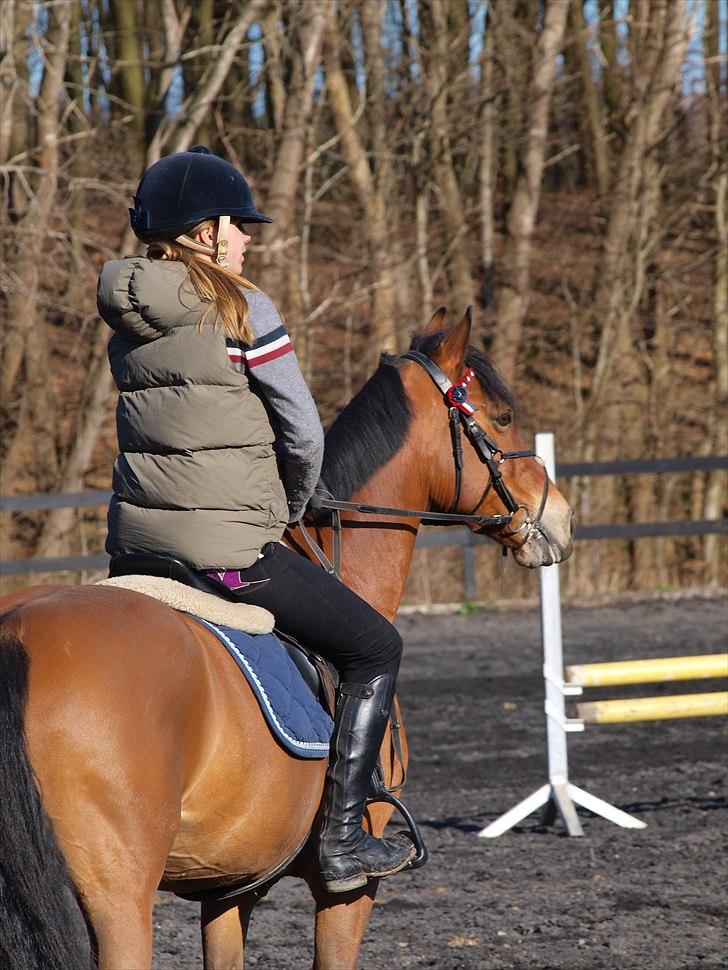 Kathrine og Grå  billede 20