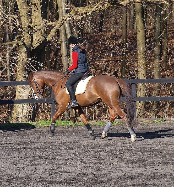 Kathrine og Grå  billede 21